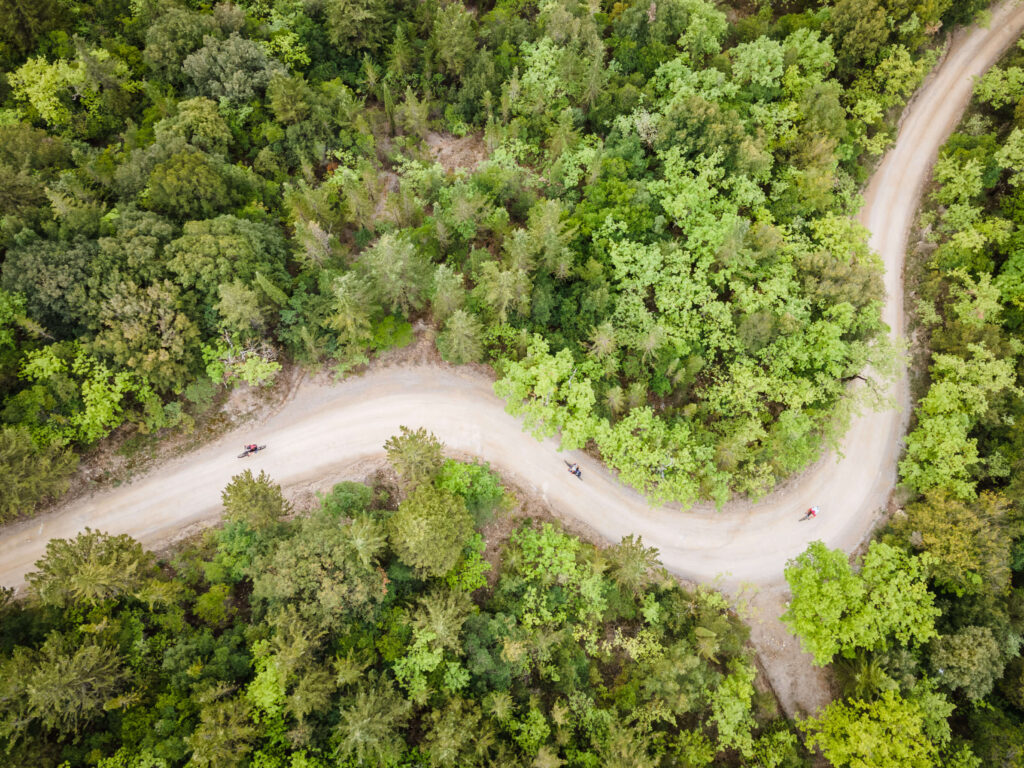 Vista aerea di una strada sterrata che serpeggia attraverso una fitta foresta verde, con alcuni ciclisti sparsi lungo il percorso. Un'immagine che cattura l'essenza dell'avventura gravel e la connessione con la natura incontaminata.